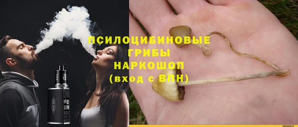 MESCALINE Вяземский